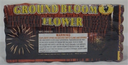 Ground Bloom Flowers W/Report