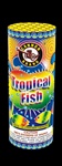 Tropical Fish Fountain