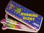 Morning Glory - 14 Inch