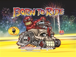 Born to Ride - 45 Shots