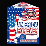 America Forever Fireworks Fountain - Sky Bacon
