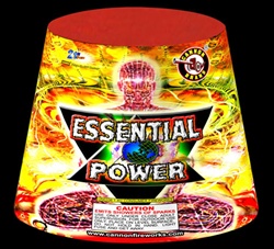 Essential Power