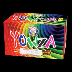 Yowza - 21 Shot 500 Gram Fireworks Cake - Brothers