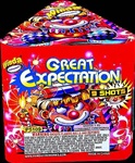 Great Expectation - 9 Shot Fireworks Cake - Winda