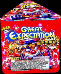 Great Expectation - 9 Shot Fireworks Cake - Winda