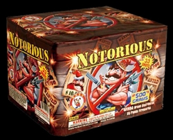 Notorious - 33 Shot Fireworks Cake - Winda