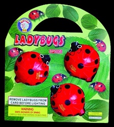 Ladybugs (60/3)